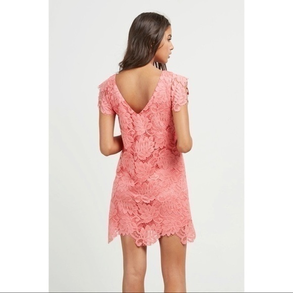 BB Dakota Women’s Pink Lace Dress Size Small - Picture 8 of 14